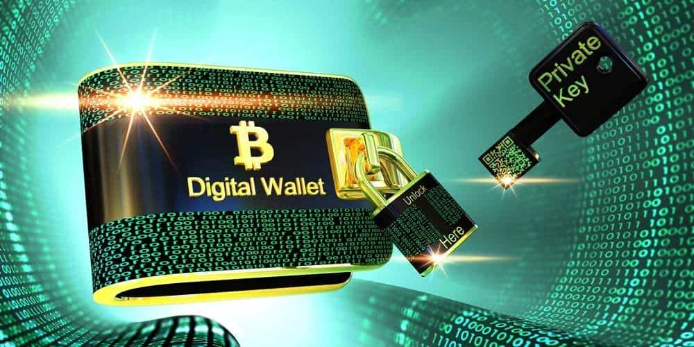 cartera Wasabi Bitcoin